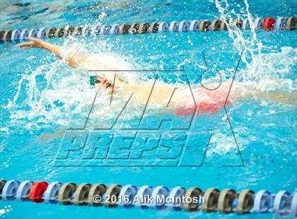 Thumbnail 1 in NCHSAA 4A State Swimming Championships (Finals) photogallery.