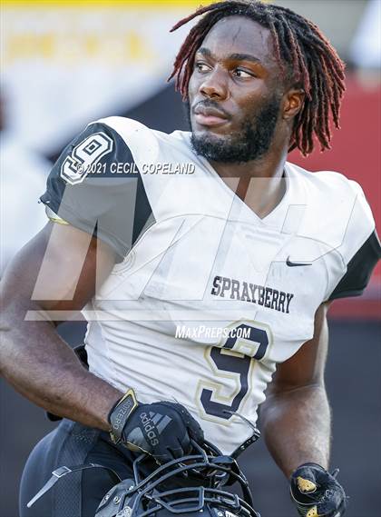 Thumbnail 2 in Sprayberry @ Lassiter photogallery.