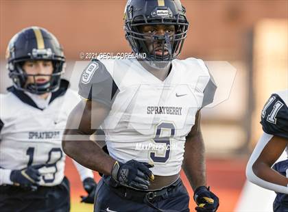 Thumbnail 1 in Sprayberry @ Lassiter photogallery.