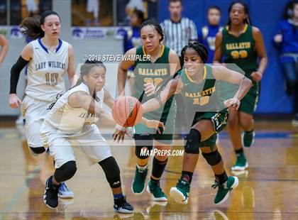 Thumbnail 3 in Gallatin @ Wilson Central photogallery.