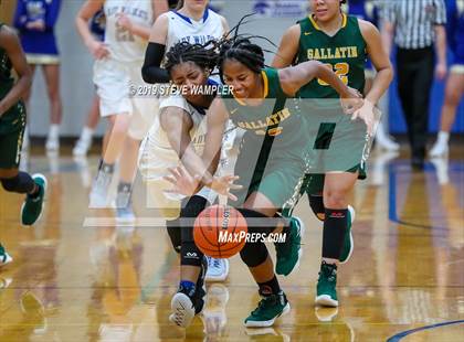 Thumbnail 3 in Gallatin @ Wilson Central photogallery.