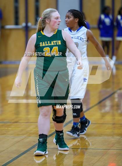Thumbnail 3 in Gallatin @ Wilson Central photogallery.