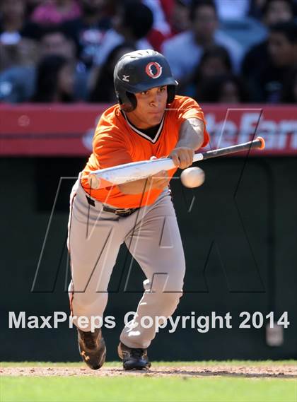 Thumbnail 1 in Segerstrom vs. Orange photogallery.