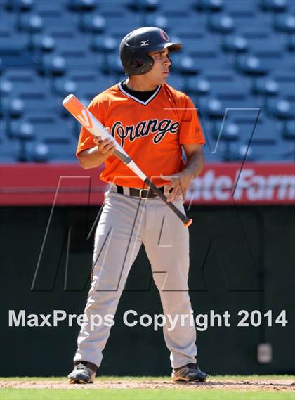 Thumbnail 2 in Segerstrom vs. Orange photogallery.