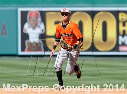 Thumbnail 1 in Segerstrom vs. Orange photogallery.