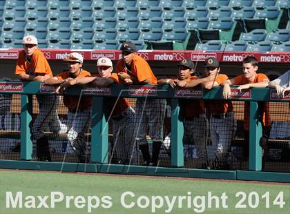 Thumbnail 3 in Segerstrom vs. Orange photogallery.