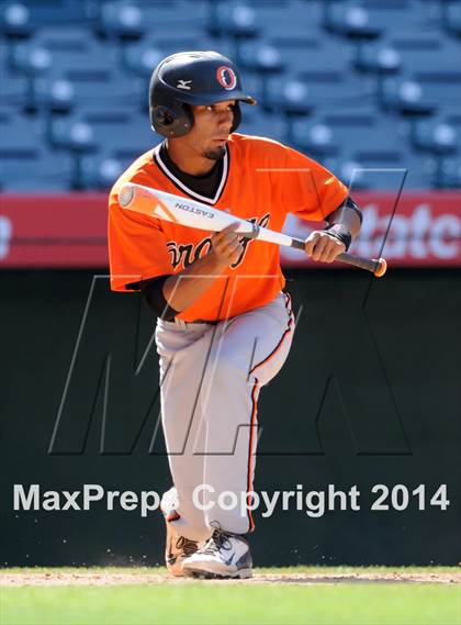 Thumbnail 2 in Segerstrom vs. Orange photogallery.