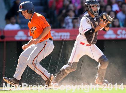 Thumbnail 2 in Segerstrom vs. Orange photogallery.