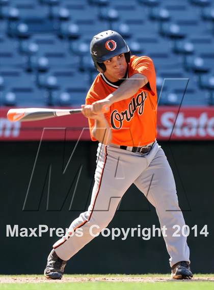 Thumbnail 1 in Segerstrom vs. Orange photogallery.