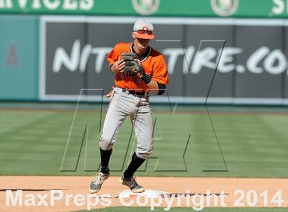 Thumbnail 1 in Segerstrom vs. Orange photogallery.