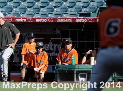 Thumbnail 1 in Segerstrom vs. Orange photogallery.