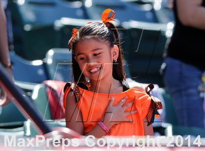 Thumbnail 3 in Segerstrom vs. Orange photogallery.
