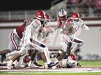 Photo from the gallery "Manatee @ Lowndes"