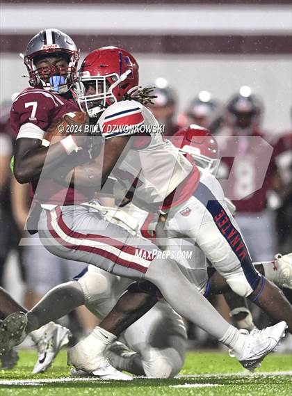 Thumbnail 3 in Manatee @ Lowndes photogallery.