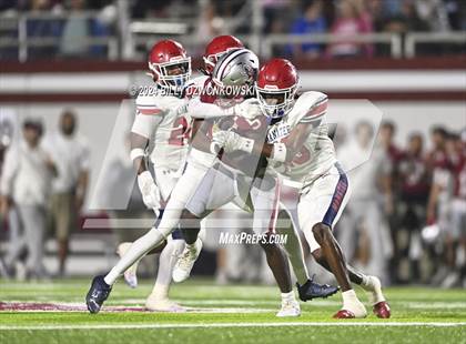 Thumbnail 2 in Manatee @ Lowndes photogallery.