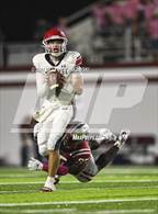 Photo from the gallery "Manatee @ Lowndes"