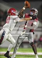 Photo from the gallery "Manatee @ Lowndes"