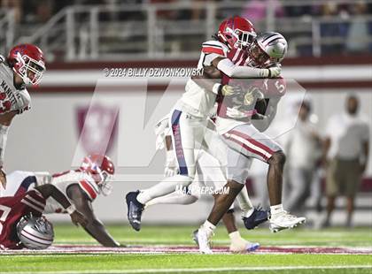 Thumbnail 1 in Manatee @ Lowndes photogallery.