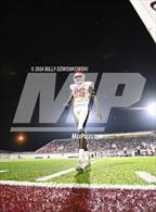 Photo from the gallery "Manatee @ Lowndes"