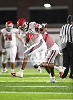 Photo from the gallery "Manatee @ Lowndes"