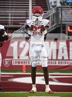 Photo from the gallery "Manatee @ Lowndes"