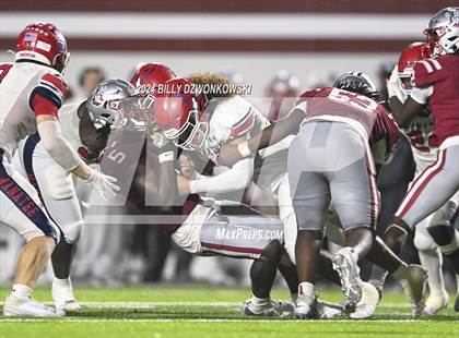 Thumbnail 3 in Manatee @ Lowndes photogallery.