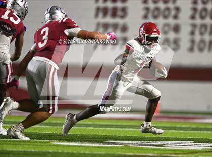 Thumbnail 2 in Manatee @ Lowndes photogallery.