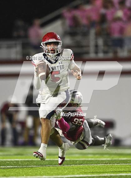 Thumbnail 1 in Manatee @ Lowndes photogallery.