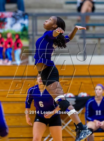 Thumbnail 1 in Stevens vs. Warren photogallery.