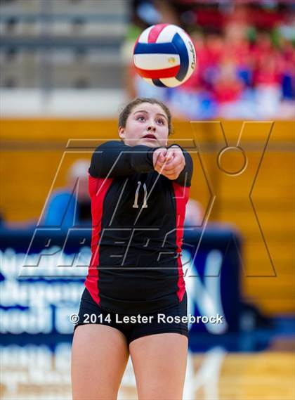 Thumbnail 1 in Stevens vs. Warren photogallery.