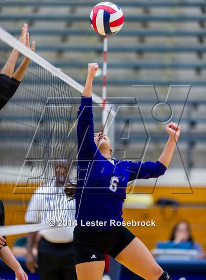Thumbnail 2 in Stevens vs. Warren photogallery.