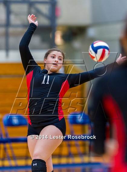 Thumbnail 3 in Stevens vs. Warren photogallery.