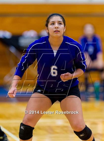 Thumbnail 3 in Stevens vs. Warren photogallery.