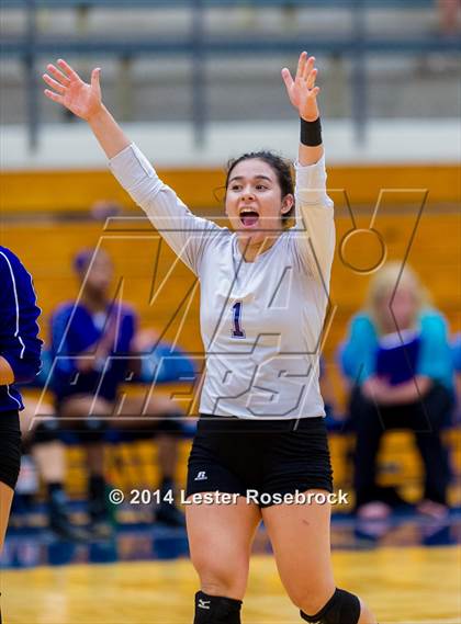 Thumbnail 1 in Stevens vs. Warren photogallery.