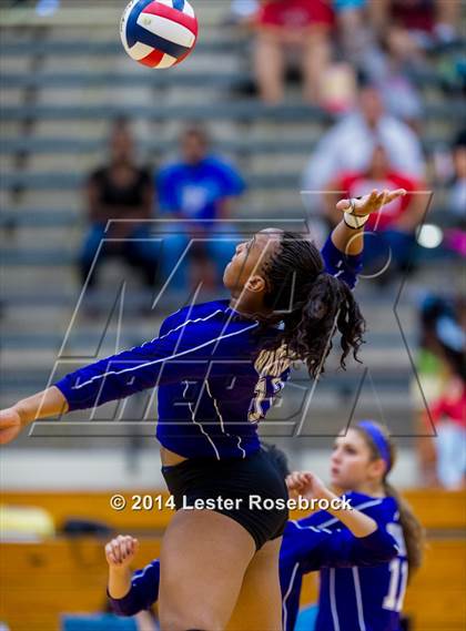 Thumbnail 1 in Stevens vs. Warren photogallery.