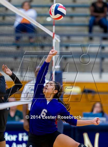 Thumbnail 3 in Stevens vs. Warren photogallery.