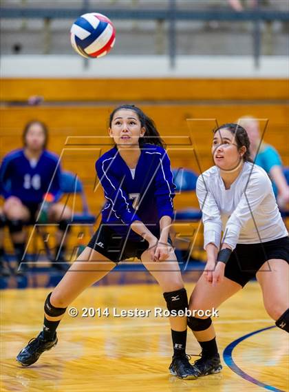 Thumbnail 3 in Stevens vs. Warren photogallery.