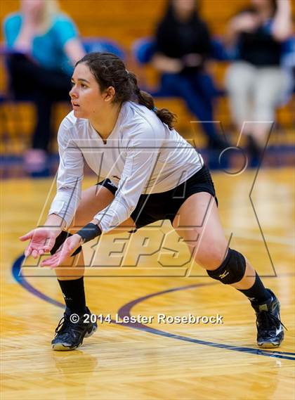 Thumbnail 2 in Stevens vs. Warren photogallery.