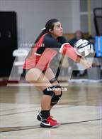 Photo from the gallery "Logan Elm @ Circleville"