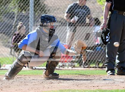 Thumbnail 3 in Palo Verde vs Centennial photogallery.