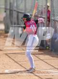 Photo from the gallery "Berthoud @ Wellington"