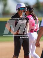 Photo from the gallery "Berthoud @ Wellington"