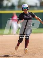 Photo from the gallery "Berthoud @ Wellington"