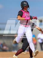 Photo from the gallery "Berthoud @ Wellington"