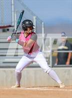 Photo from the gallery "Berthoud @ Wellington"