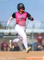 Photo from the gallery "Berthoud @ Wellington"