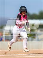 Photo from the gallery "Berthoud @ Wellington"