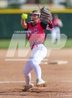 Photo from the gallery "Berthoud @ Wellington"