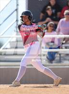 Photo from the gallery "Berthoud @ Wellington"