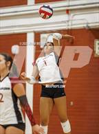 Photo from the gallery "Desert Oasis @ Clark"